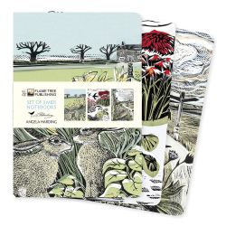 Angela Harding Look Out Wagtail Thrush Set 3 Midi Notebooks