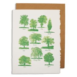 Trees Greetings Card QP376