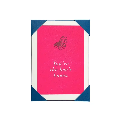Archivist You're the Bee's Knees Mini Note Cards Pink APP191