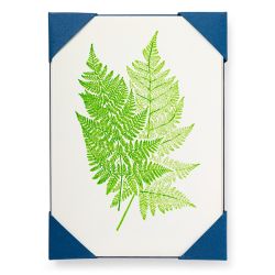 Archivist Two Ferns Note Card Pack APP102
