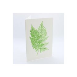 Green Fern Greetings Card APS102