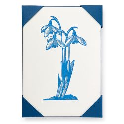 Snowdrop Note Cards APP117