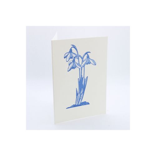 Snowdrop Letterpress Greetings Card APS117