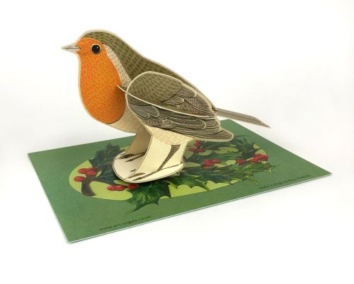 Alice Melvin Pop Out Birds Robin Greetings Card AM3020