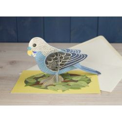 Alice Melvin Pop Out Pets Budgie Greetings Card AM2041