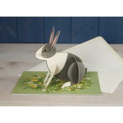 Alice Melvin Pop Out Pets Rabbit Greetings Card AM2042