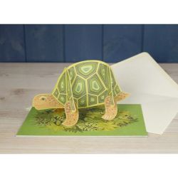 Alice Melvin Pop Out Pets Tortoise Greetings Card AM2038