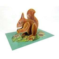 Alice Melvin Pop Out Woodland Animals Red Squirrel Greetings Card AM3114