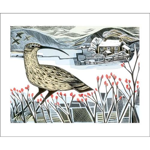 Angela Harding Curlew Christmas Greetings Card AH3179X