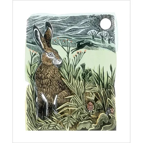 Angela Harding Hidden Hares Greetings Card AH3207