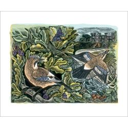 Angela Harding Knepp Jay and Oak Tree Greetings Card AH3166