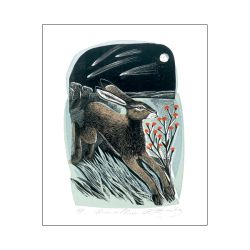 Angela Harding Shooting Stars Greetings Card AH1492