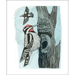 Angela Harding Lesser Spotted Woodpecker Greetings Card AH3043