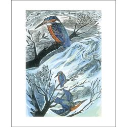Angela Harding Suffolk Kingfishers Greetings Card AH3077