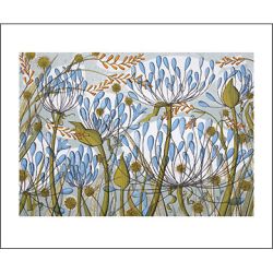 Angie Lewin Agapanthus II AL1569