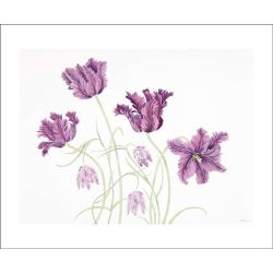 Angie Lewin Parrot Tulips and Fritillaries Greetings Card AL3160