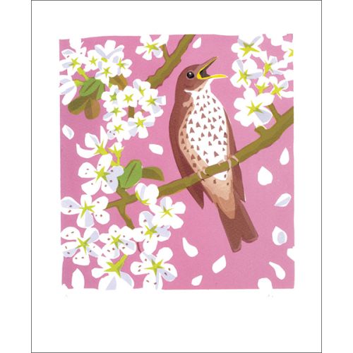 Carry Akroyd Song Thrush Greetings Card CA3028