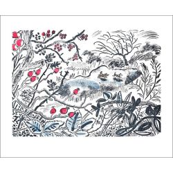 Emily Sutton Winter Walks Greetings Card ES3007X