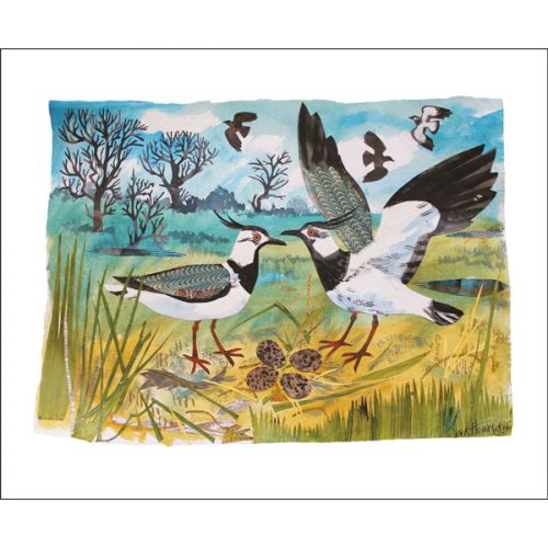 Mark Hearld Lapwings Nest Greetings Card MH1803