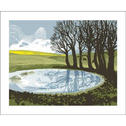 Andy Lovell Dew Pond Ditchling Greetings Card BL3082