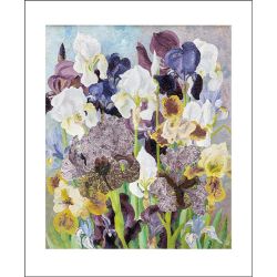 Cedric Morris May Flowering Irises Greetings Card CS3104