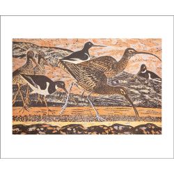 James T.A. Osborne Curlew and Oystercatchers Greetings Card JE3121
