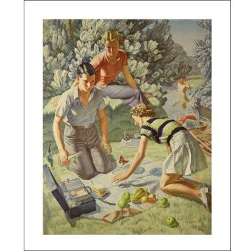 Harold Williamson Picnic Greetings Card HW1964