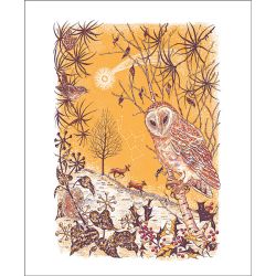 Julia Mckenzie Under a Winter Comet Greetings Card JK3067X