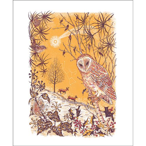 Julia Mckenzie Under a Winter Comet Greetings Card JK3067X