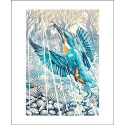 Martin Truefitt-Baker Kingfisher Evening Rain Greetings Card