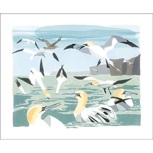 Lisa Hooper Gannets Greetings Card LH3137