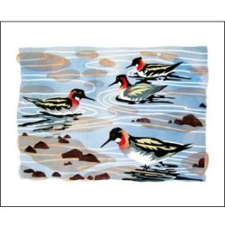 Lisa Hooper Phalaropes Shetland Greetings Card LH2025