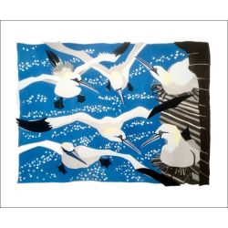 Lisa Hooper Westray Gannets Greetings Card LH2047