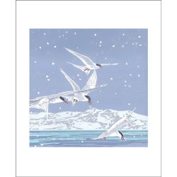 Lizzie Perkins Snowy Terns Greetings Card LP3070X