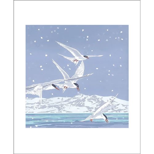 Lizzie Perkins Snowy Terns Greetings Card LP3070X