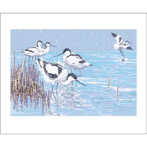 Lizzie Perkins Winter Avocets Greetings Card LP3128X