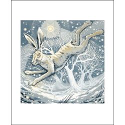 Martin Truefitt-Baker Frosty Hare Greetings Card MB3124X