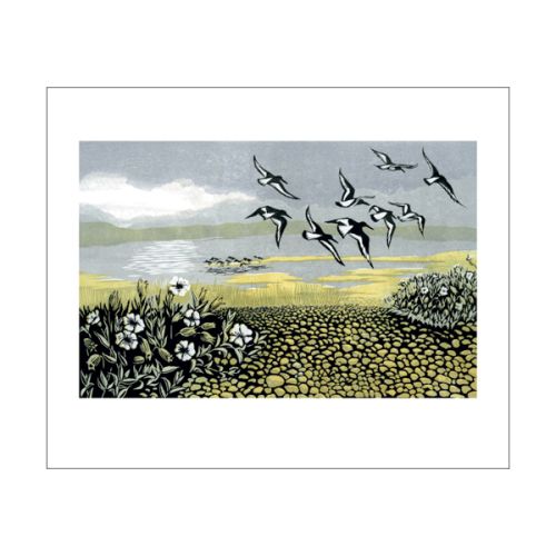 Niki Bowers Blakeney Oyster Catchers Greetings Card NB2073