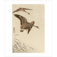 Ohara Koson Two White Fronted Geese Flying in Snow Greetings Card OK3180X