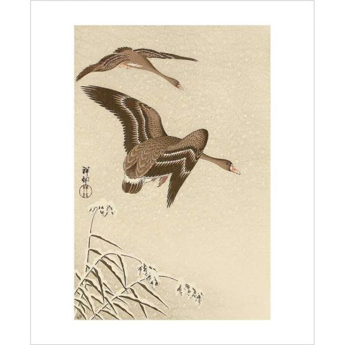 Ohara Koson Two White Fronted Geese Flying in Snow Greetings Card OK3180X