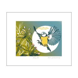 Pam Grimmond Blue Tit Greetings Card PG1498