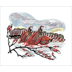 Penny Bhadresa Red Legs Greetings Card PB3132X