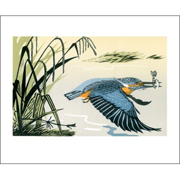 Pam Grimmond Kingfisher Greetings Card PG1666