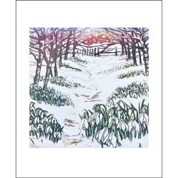 Sally Winter Snowdrop Wood Greetings Card SW3127X