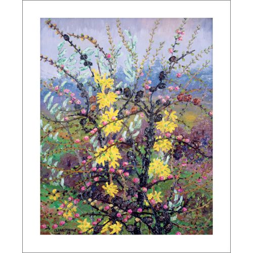 Shrubs Greetings Card by Cedric Morris CS3036