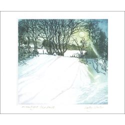 Moonlight Shadows Greetings Card by Sally Winter SW1634