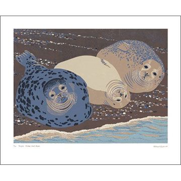 Grey Seals Greetings Card by Robert Gillmor RG1034