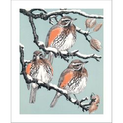 Redwings Greetings Card by Robert Gillmor RG1821x