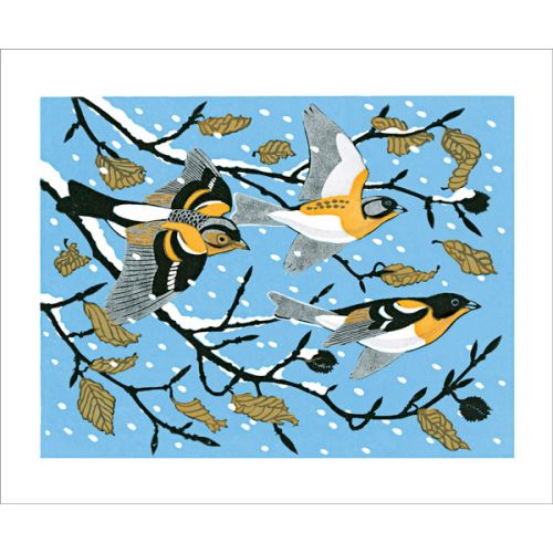 Robert Gillmor Beech and Bramblings Greetings Card