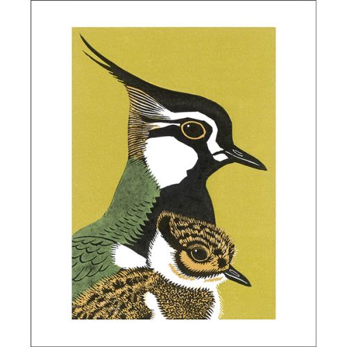 Robert Gillmor Peewit and Son Greetings Card RG3080